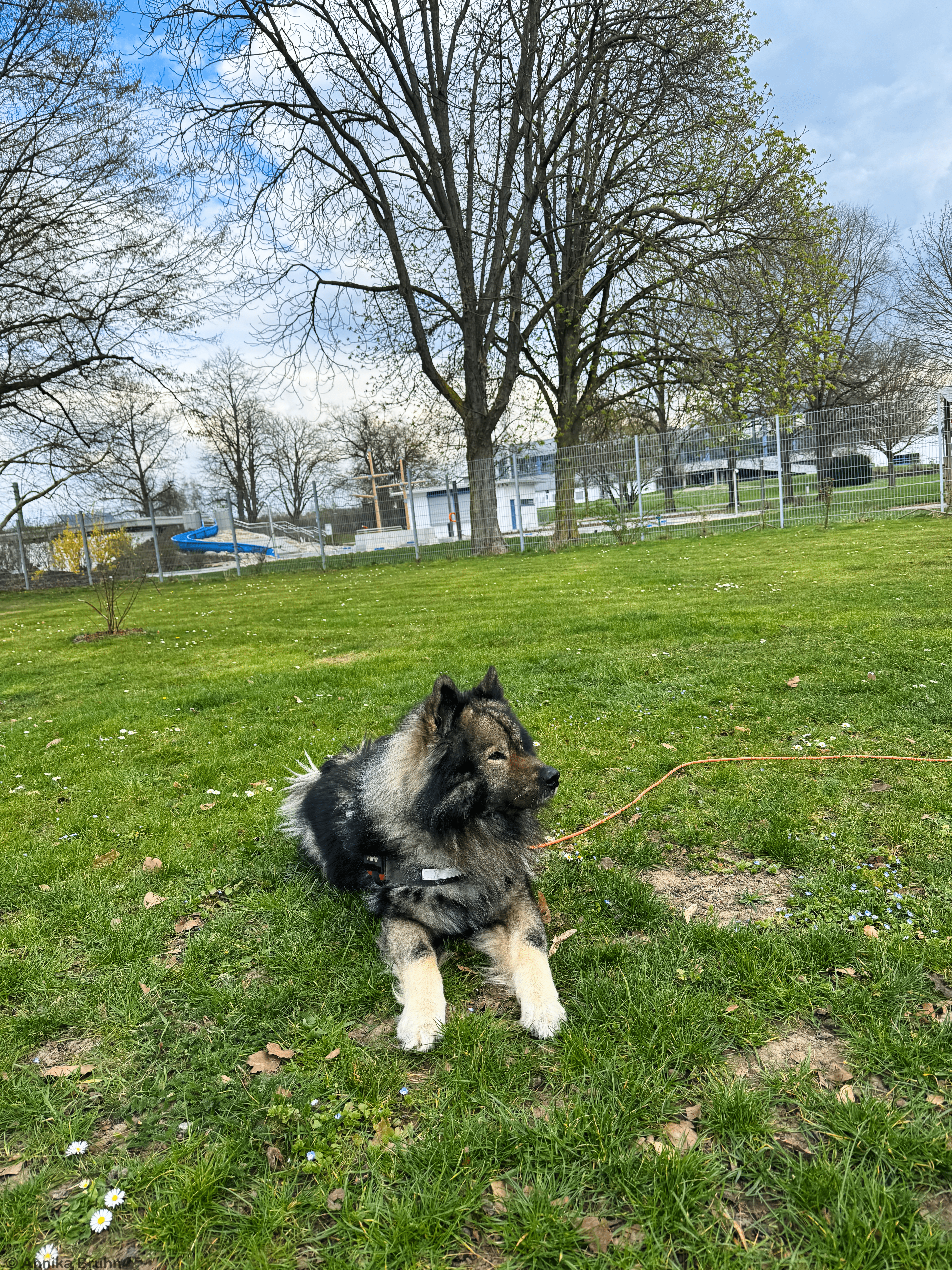 Q genießt das schöne Wetter